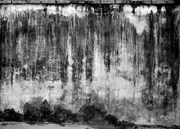 《忍者神龟：施莱德的复仇》新增女记者可操作角色