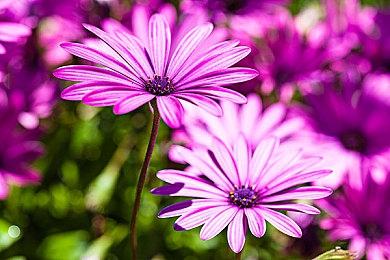 PS会员22年2月免费游戏公布 含《终极格斗冠军赛4》